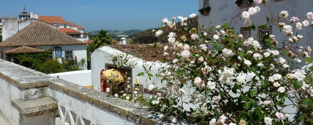 Apartment Carmona Sao Martinho do Porto